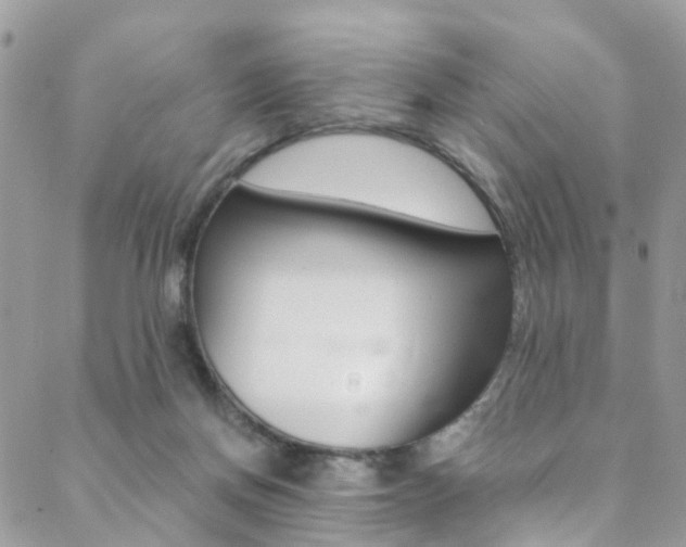 X0000088840166200706071159