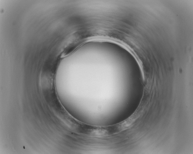 X0000088840168200706071159