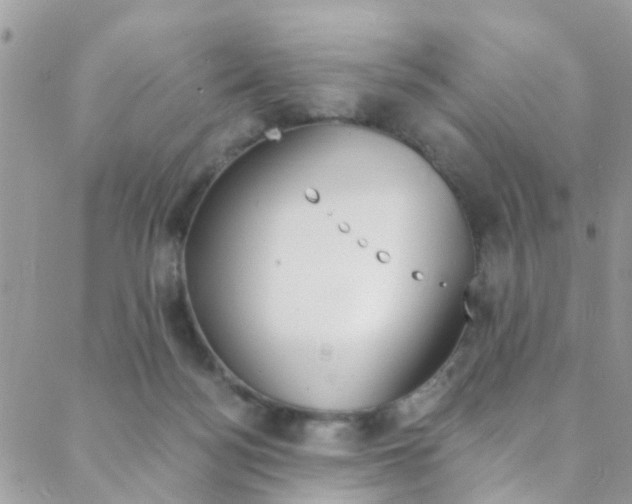 X0000088840172200706071159