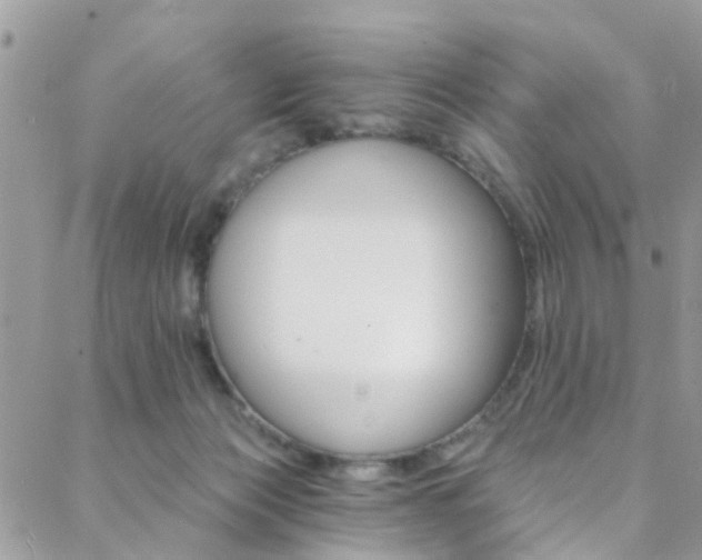 X0000088840173200706071159