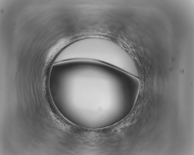 X0000088840197200706071159