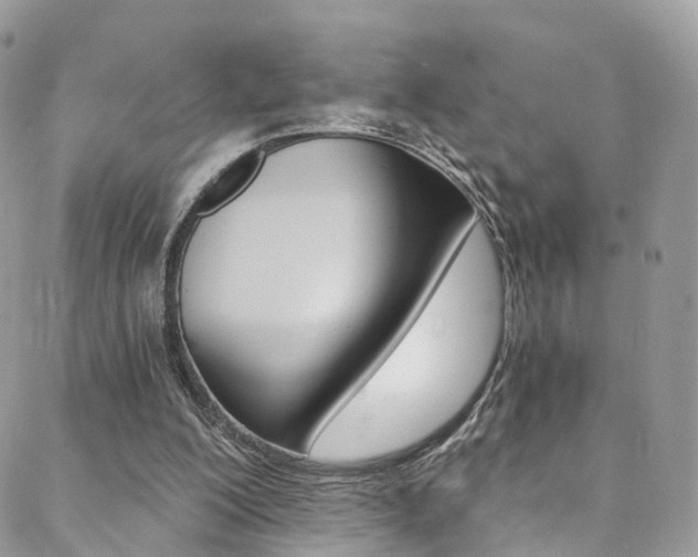 X0000088840200200706071159