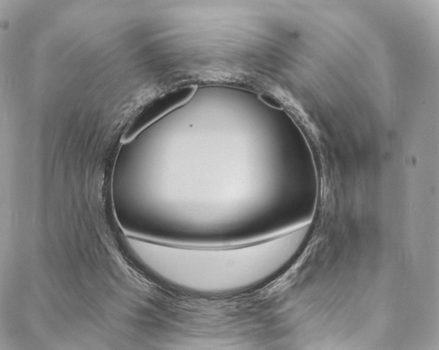 X0000088840201200706071159