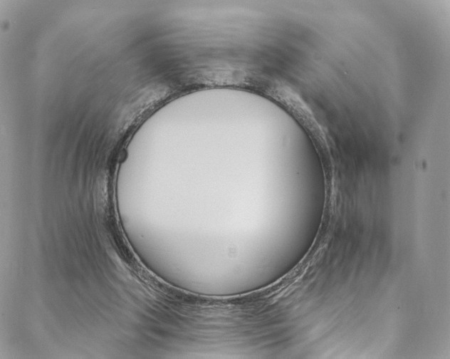 X0000088840202200706071159