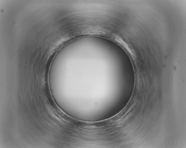 X0000088840203200706071159