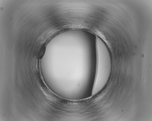 X0000088840205200706071159