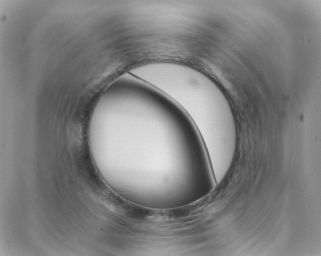 X0000088840211200706071159