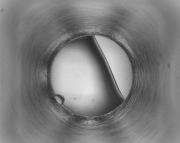 X0000088840212200706071159