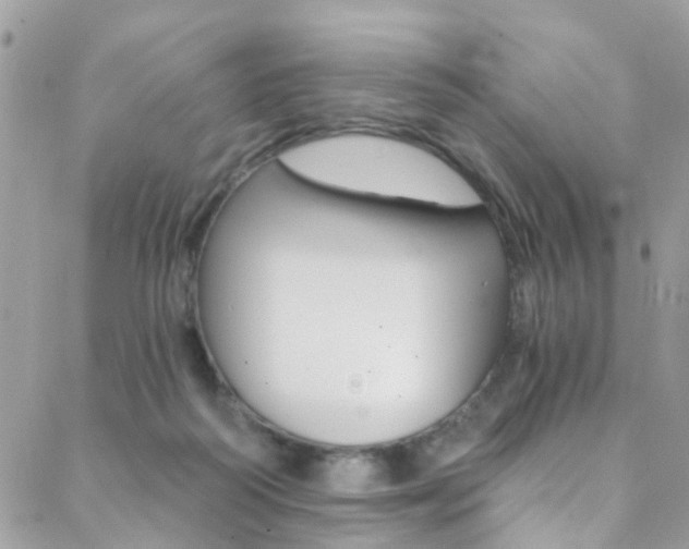 X0000088840218200706071159