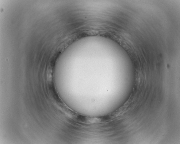 X0000088840226200706071158