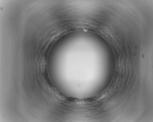 X0000088840228200706071158