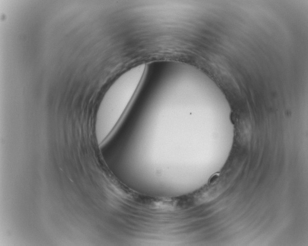 X0000088840232200706071158