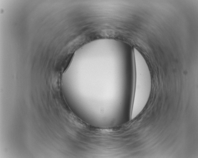 X0000088840233200706071158