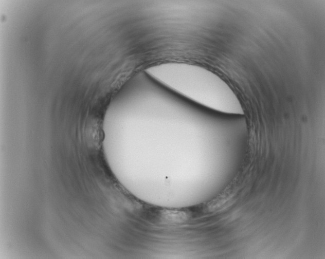 X0000088840234200706071158