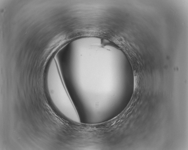 X0000088840243200706071158