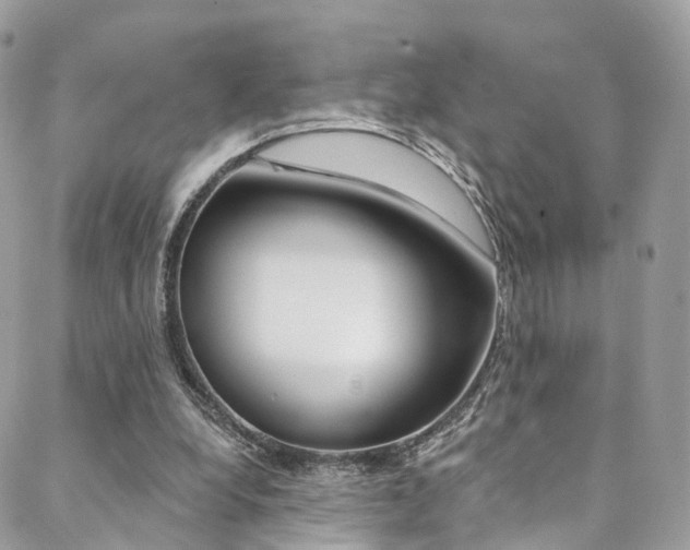 X0000088840248200706071158