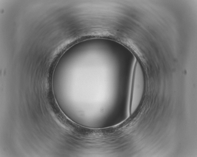 X0000088840252200706071158