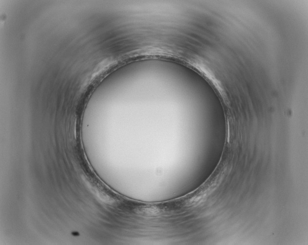 X0000088840253200706071158