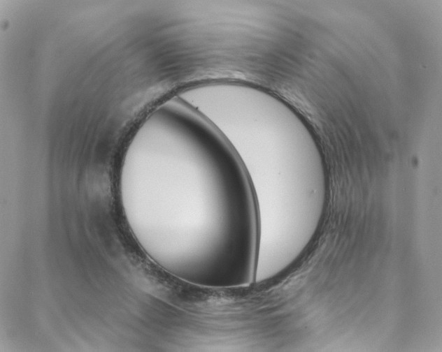 X0000088840256200706071158