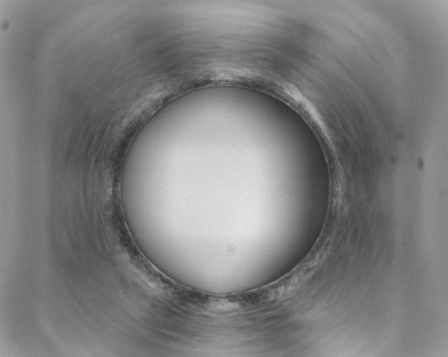 X0000088840257200706071158