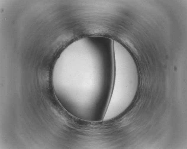 X0000088840260200706071158