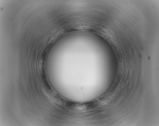 X0000088840263200706071158