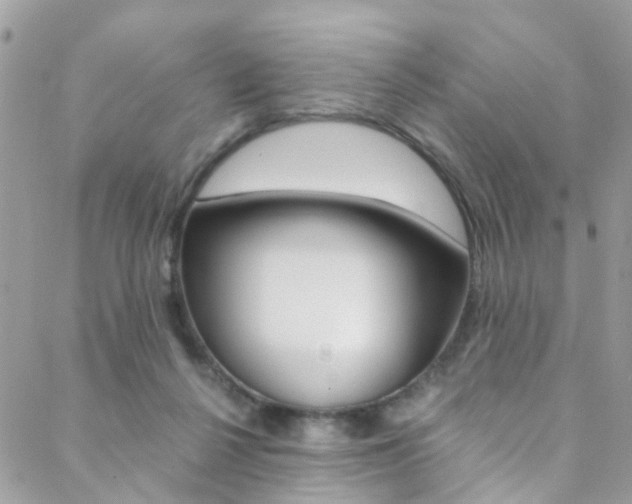 X0000088840264200706071158