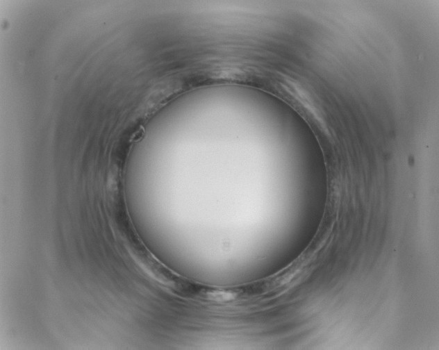X0000088840265200706071158