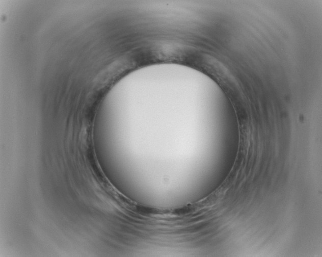 X0000088840266200706071158