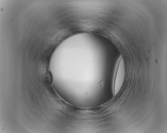 X0000088840268200706071158