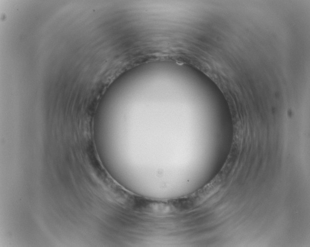 X0000088840272200706071158