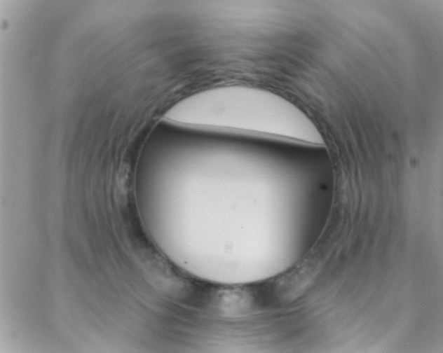 X0000088840275200706071158