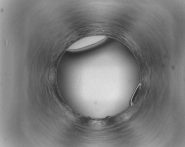 X0000088840277200706071158