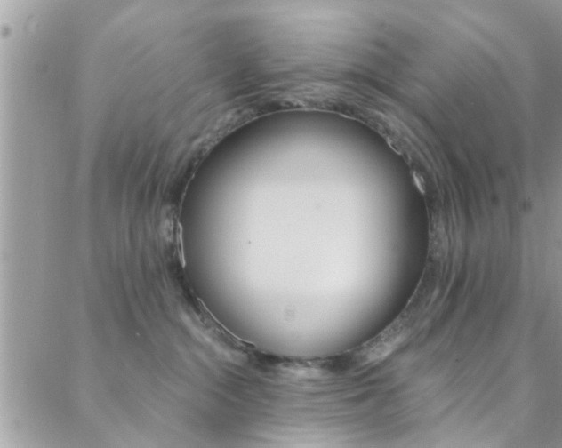 X0000088840284200706071158