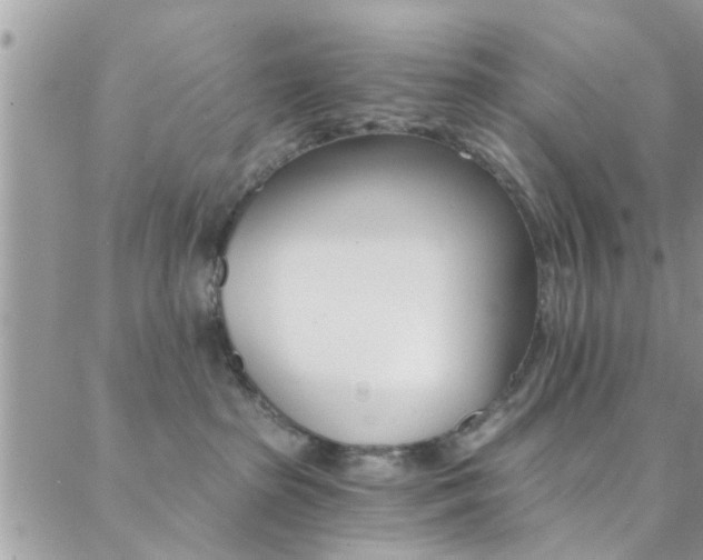 X0000088840285200706071158