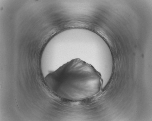 X0000088840309200706071157