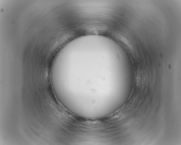 X0000088840314200706071157
