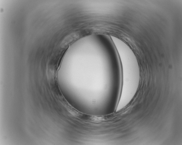 X0000088840333200706071157
