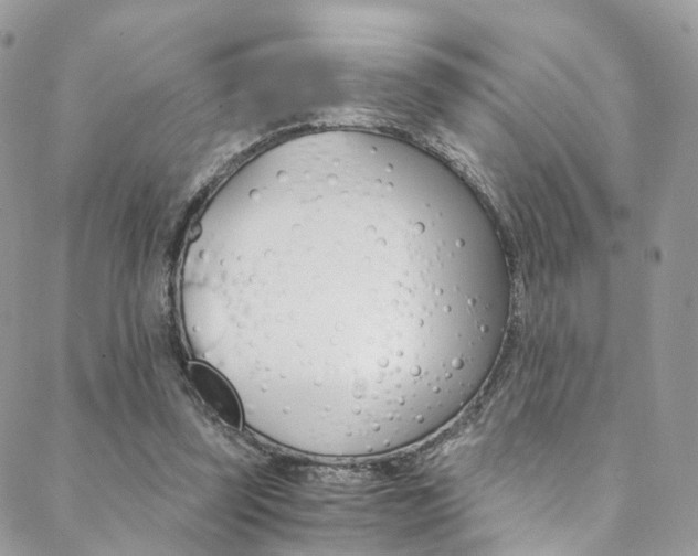 X0000088840347200706071156
