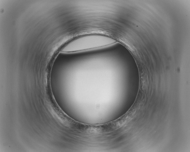 X0000088840350200706071156