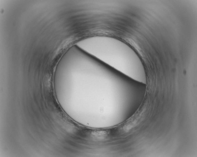 X0000088840357200706071156