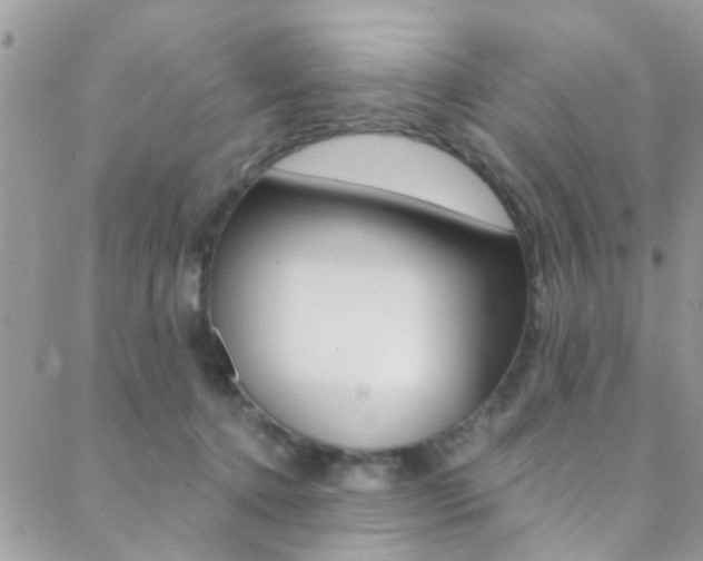 X0000088840368200706071156
