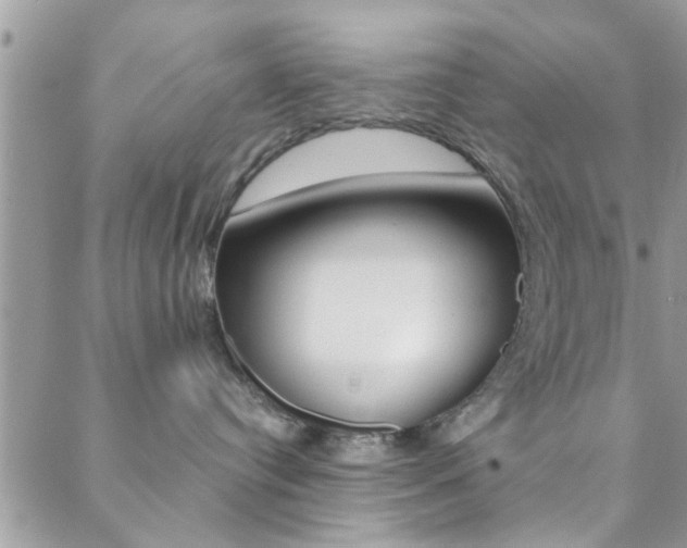 X0000088840384200706071157