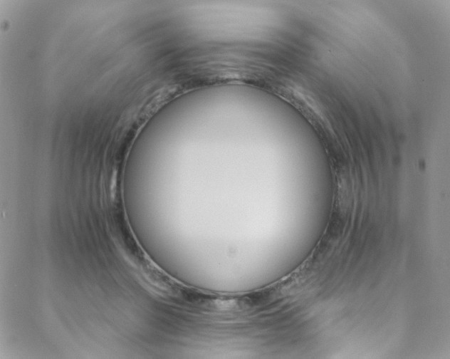 X0000088840406200706071156