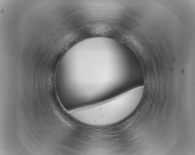 X0000088840408200706071156