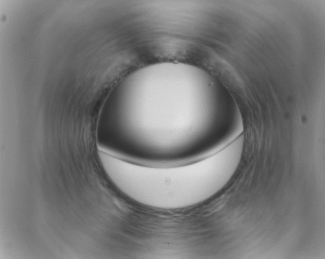 X0000088840416200706071155