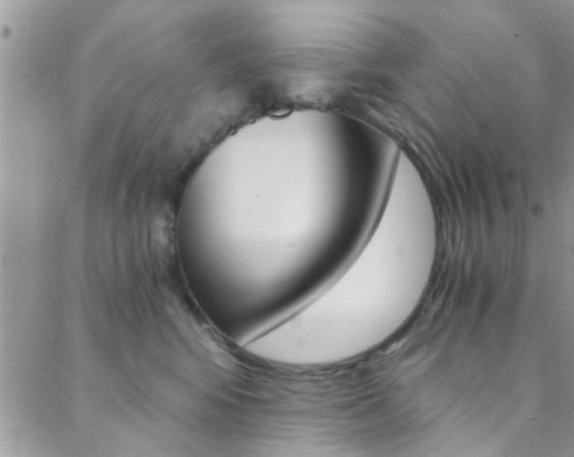 X0000088840424200706071155