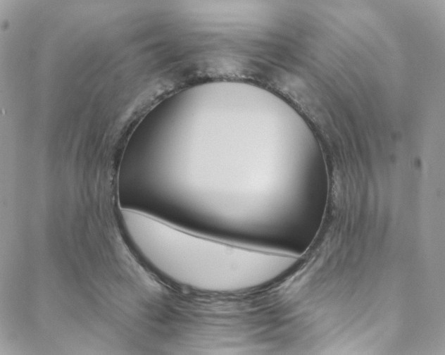X0000088840449200706071155