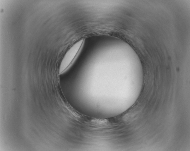 X0000088840480200706071155