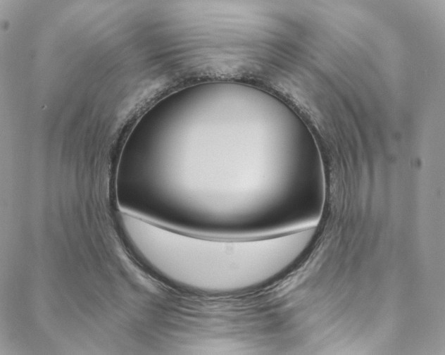 X0000088840493200706071154